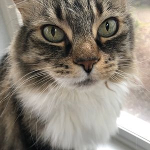 Meet your Posher, Jeanne